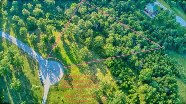 000 Forest Heights Dr, Saddlebrooke, MO 65630 - photo 2