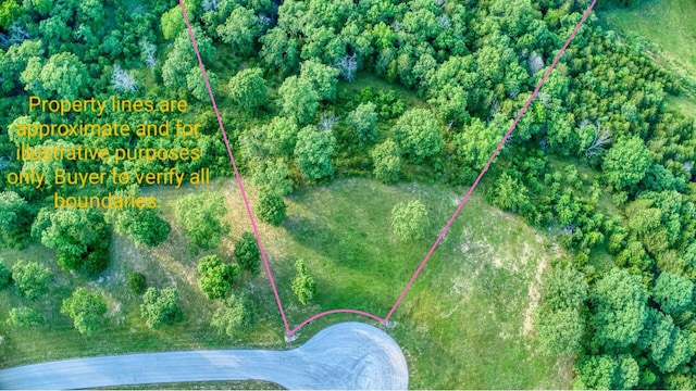 000 Forest Heights Dr, Saddlebrooke, MO 65630 - photo 3