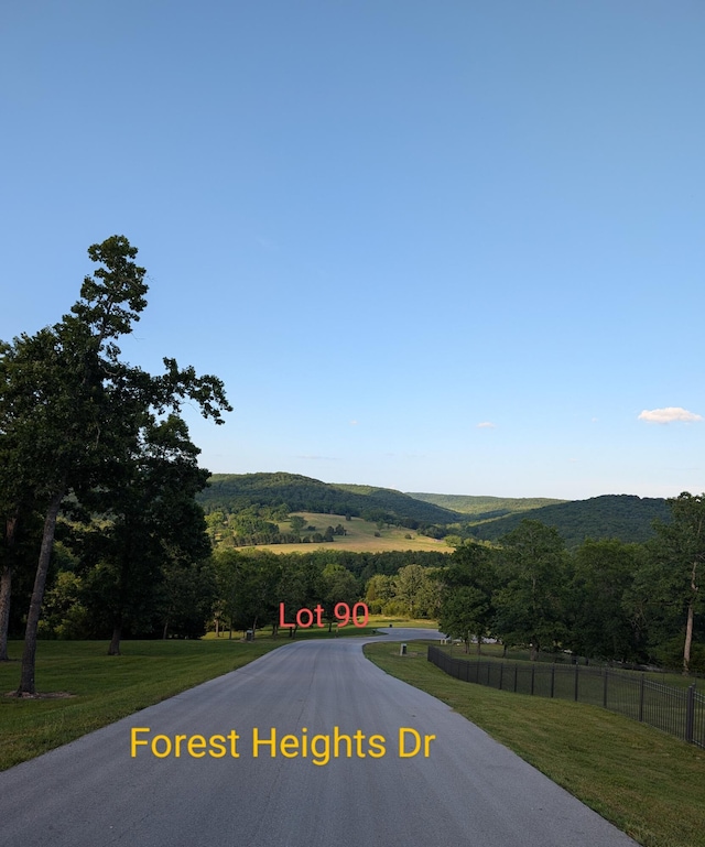 000 Forest Heights Dr, Saddlebrooke, MO 65630 - photo 4