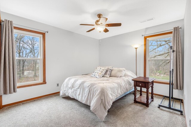 6585 N Farm Rd 61, Walnut Grove, MO 65770 - bedroom with carpet flooring and multiple windows