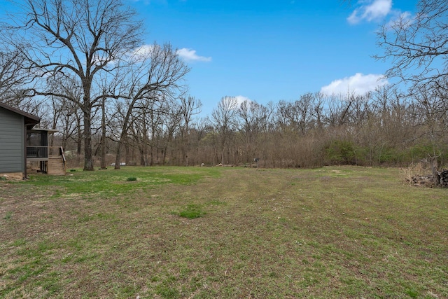 6585 N Farm Rd 61, Walnut Grove, MO 65770 - view of green lawn