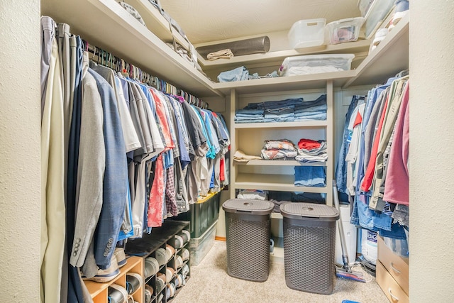 6585 N Farm Rd 61, Walnut Grove, MO 65770 - spacious closet with carpet floors