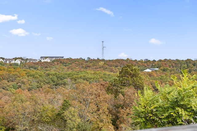 2950 Vineyards Pkwy Unit 5, Branson, MO 65616 - view of woods