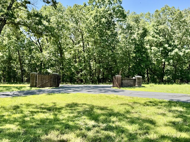 140 State Highway V, Long Lane, MO 65590 - photo 8