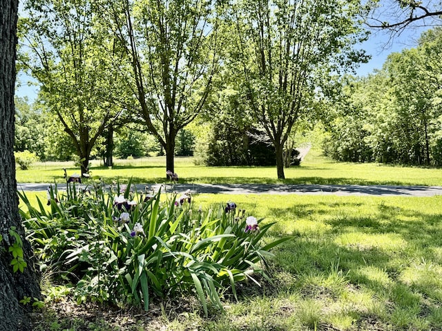 140 State Highway V, Long Lane, MO 65590 - photo 7