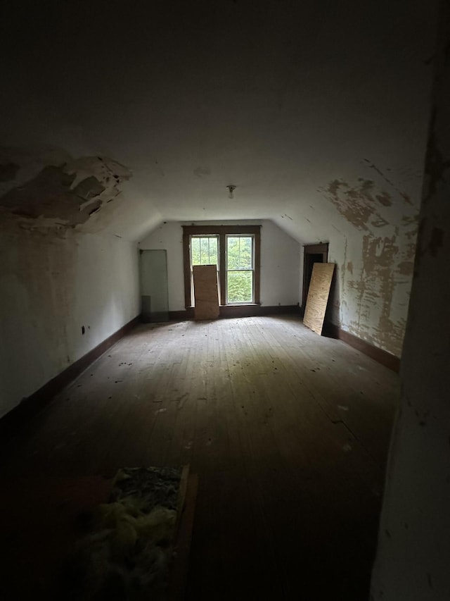 5143 Farm Rd Unit 2000, Pierce City, MO 65723 - bonus room featuring vaulted ceiling and hardwood / wood-style floors