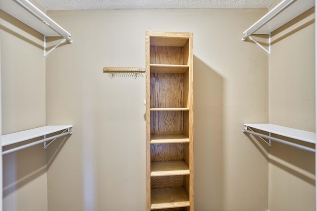 784 S 17th St, Ozark, MO 65721 - view of spacious closet