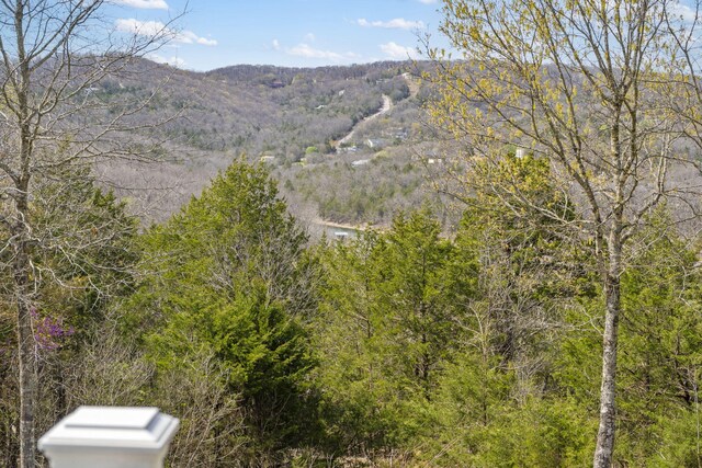 859 Crows Nest Trl, Branson, MO 65616 - mountain view with a heavily wooded area