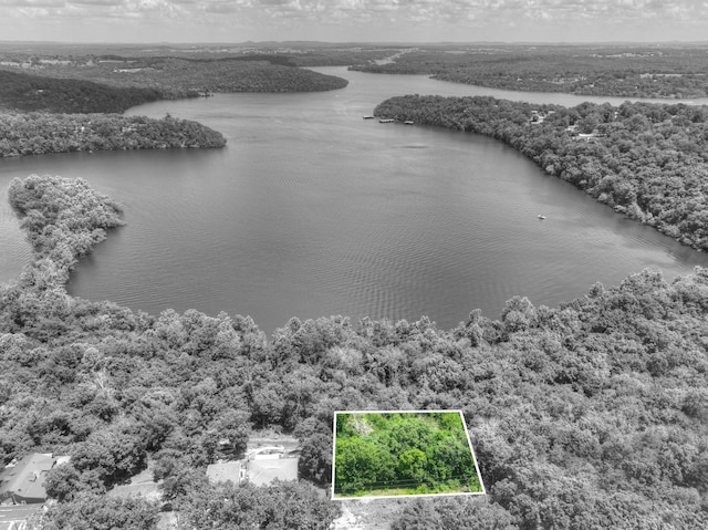 LOT10 Farm Rd Unit 1187, Eagle Rock, MO 65641