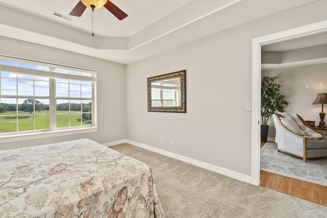 180 Grace Chapel Rd Unit 220, Blue Eye, MO 65611 - bedroom featuring carpet floors, a raised ceiling, and a ceiling fan