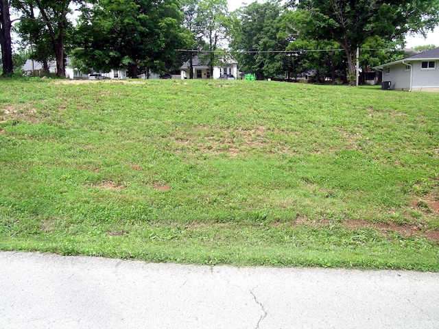 000 N Clay St, Marshfield, MO 65706 - photo 2