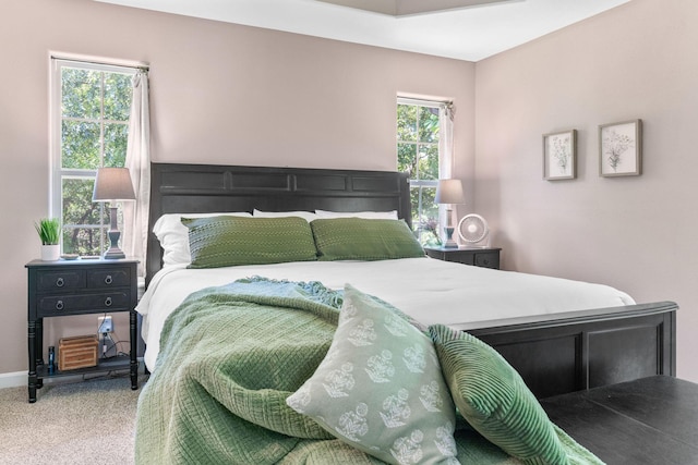1865 Morningside Falls Blvd, Blue Eye, MO 65611 - carpeted bedroom with baseboards