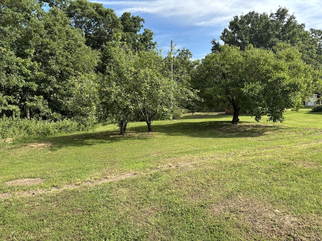 1299 State Highway 64, Windyville, MO 65783 - photo 23