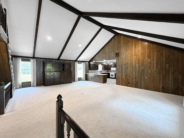 114 W Carman Rd, El Dorado Springs, MO 64744 - bedroom with wooden walls, multiple windows, and light colored carpet