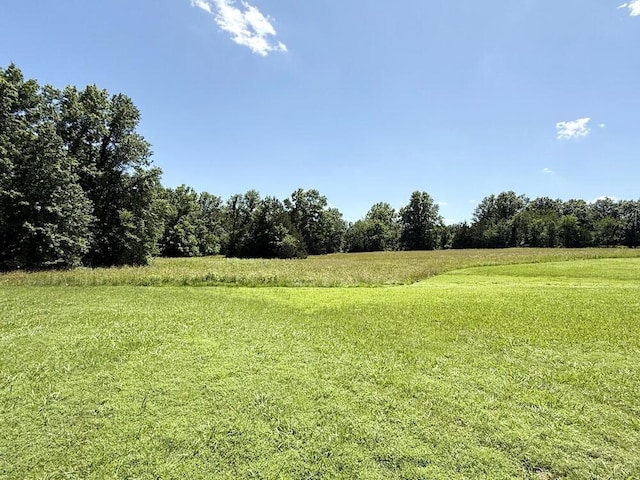 114 W Carman Rd, El Dorado Springs, MO 64744 - view of yard
