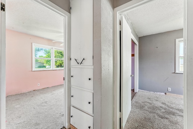 621 E Cleveland St, Seymour, MO 65746 - corridor featuring carpet and a textured ceiling
