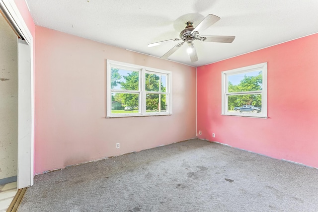 621 E Cleveland St, Seymour, MO 65746 - spare room featuring plenty of natural light, carpet floors, and ceiling fan