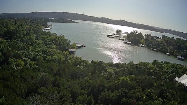 000 White Rockbluff Dr, Branson West, MO 65737 - photo 4