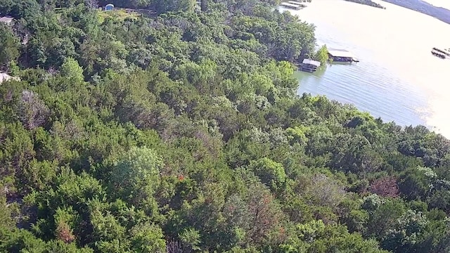 000 White Rockbluff Dr, Branson West, MO 65737 - photo 8