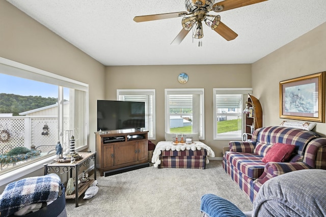 28136 Lone Pine Rd, Eagle Rock, MO 65641 - photo 12