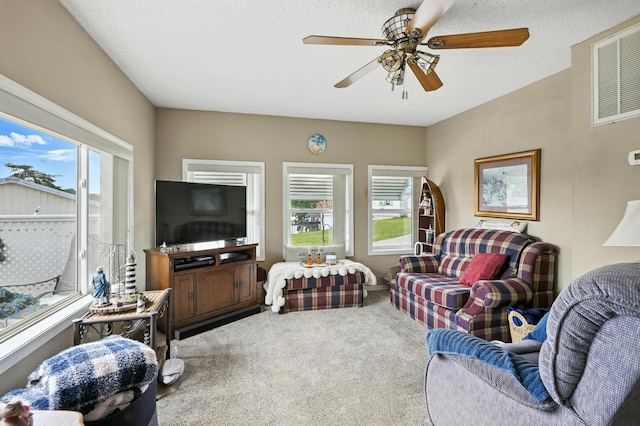 28136 Lone Pine Rd, Eagle Rock, MO 65641 - photo 11