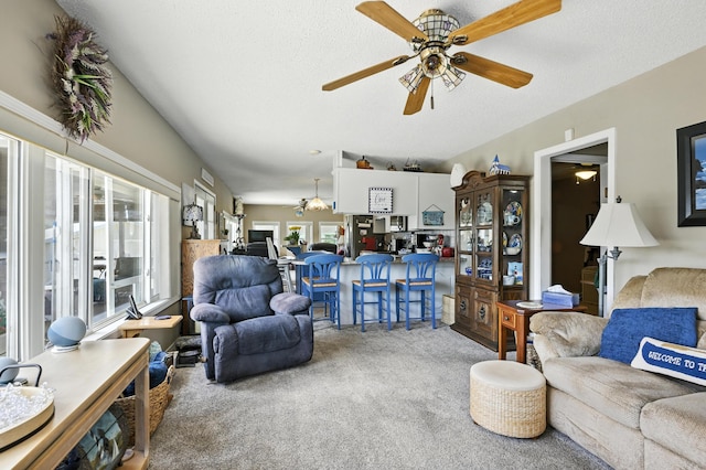 28136 Lone Pine Rd, Eagle Rock, MO 65641 - photo 27