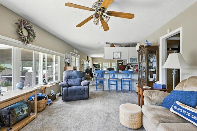 28136 Lone Pine Rd, Eagle Rock, MO 65641 - photo 25