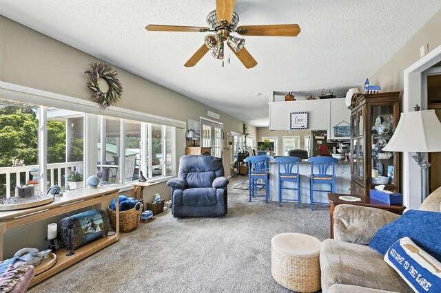 28136 Lone Pine Rd, Eagle Rock, MO 65641 - photo 26