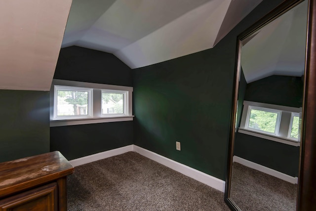 1510 E Mcdaniel St, Springfield, MO 65802 - additional living space featuring vaulted ceiling and carpet flooring