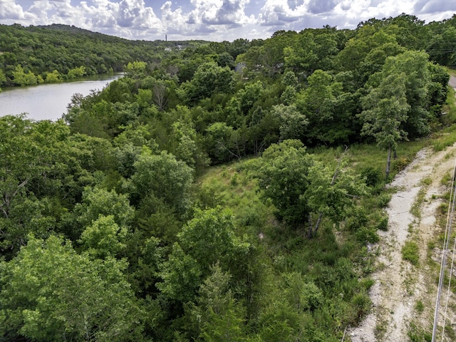 11 Turtle Cove Ln, Reeds Spring, MO 65737 - photo 16