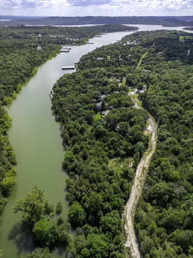 11 Turtle Cove Ln, Reeds Spring, MO 65737 - photo 2