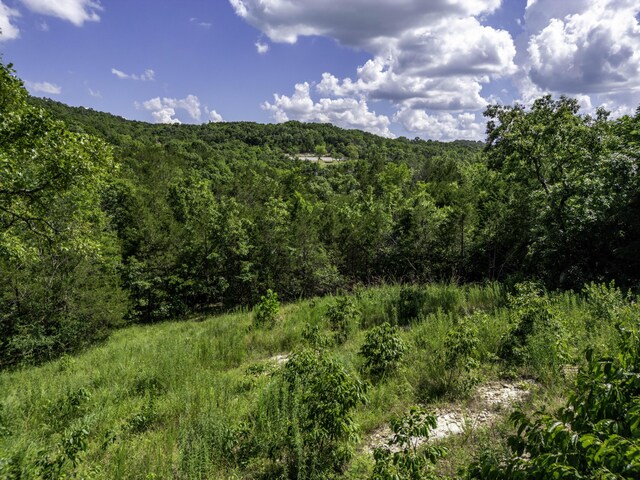 11 Turtle Cove Ln, Reeds Spring, MO 65737 - photo 8