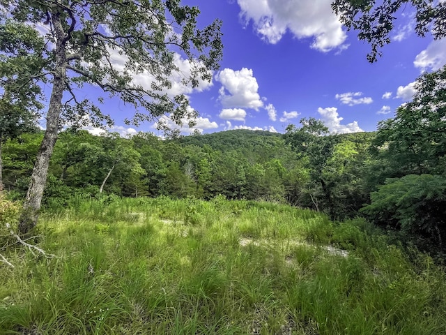 11 Turtle Cove Ln, Reeds Spring, MO 65737 - photo 17