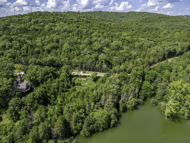 11 Turtle Cove Ln, Reeds Spring, MO 65737 - photo 11
