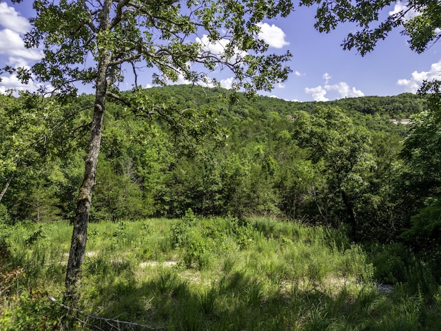 11 Turtle Cove Ln, Reeds Spring, MO 65737 - photo 7