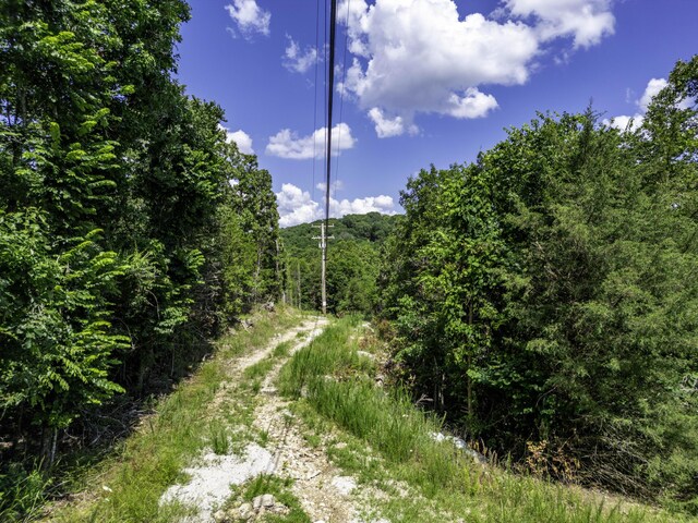 11 Turtle Cove Ln, Reeds Spring, MO 65737 - photo 10