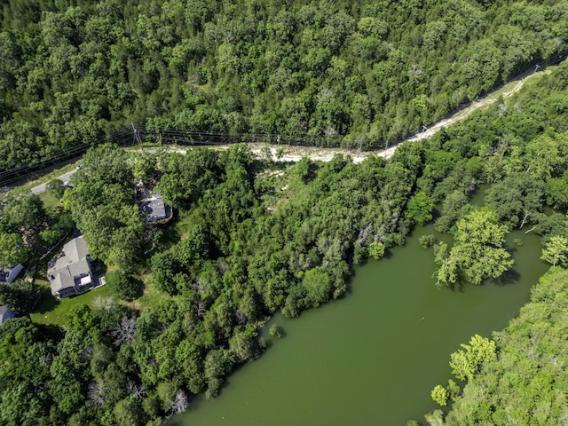 11 Turtle Cove Ln, Reeds Spring, MO 65737 - photo 9