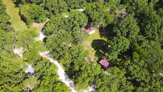 21098 Timberline Ln, Wheatland, MO 65779 - photo 6