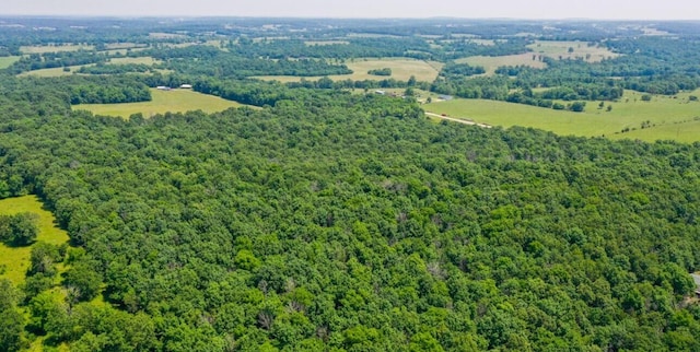 000 S 196th Rd, Halfway, MO 65663 - photo 10