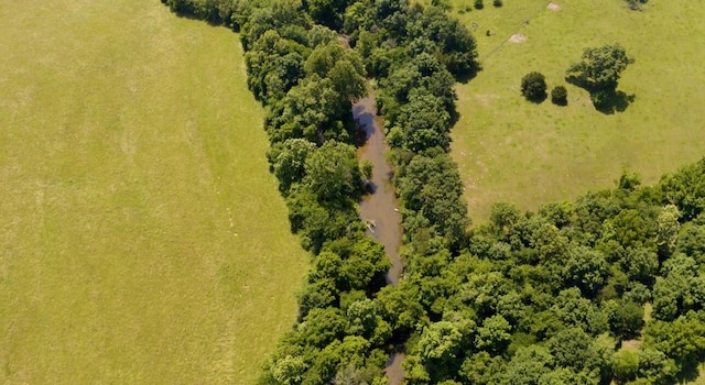 000 S 196th Rd, Halfway, MO 65663 - photo 15