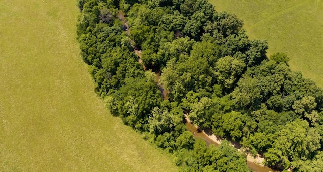 000 S 196th Rd, Halfway, MO 65663 - photo 14