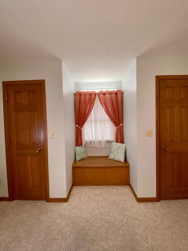 1605 S Park Ave, Aurora, MO 65605 - sitting room featuring carpet flooring