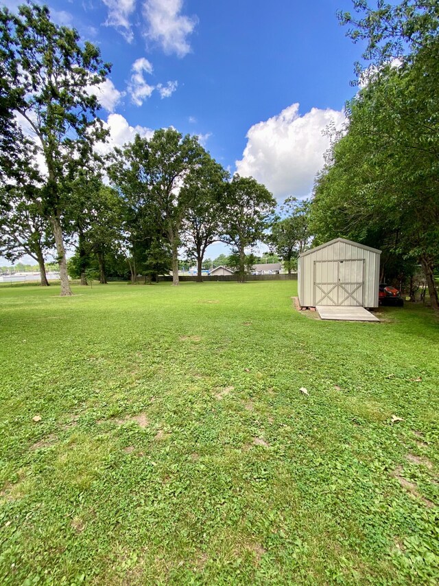 1605 S Park Ave, Aurora, MO 65605 - view of green lawn with a shed