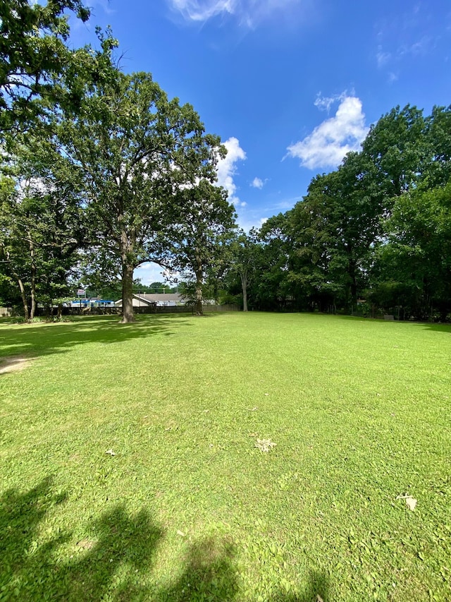 1605 S Park Ave, Aurora, MO 65605 - view of grassy yard