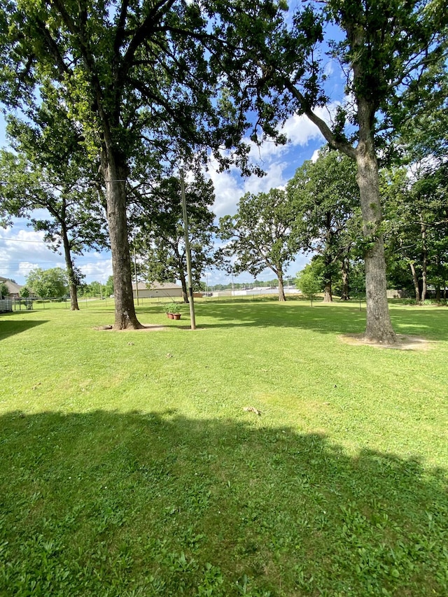 1605 S Park Ave, Aurora, MO 65605 - view of grassy yard