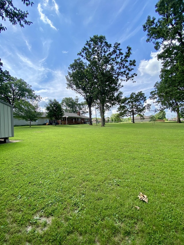 1605 S Park Ave, Aurora, MO 65605 - view of grassy yard