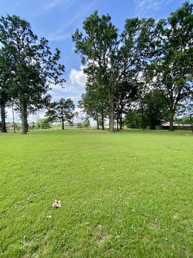 1605 S Park Ave, Aurora, MO 65605 - view of grassy yard