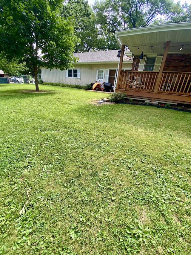 1605 S Park Ave, Aurora, MO 65605 - view of green lawn