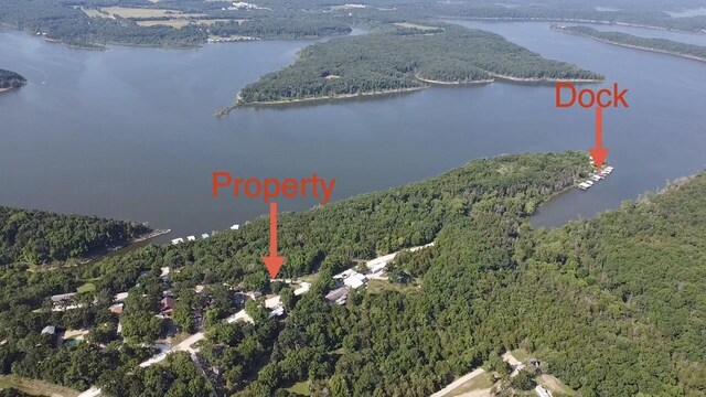 25795 Canyon Dr, Hermitage, MO 65668 - aerial view of property's location with a heavily wooded area and a large body of water