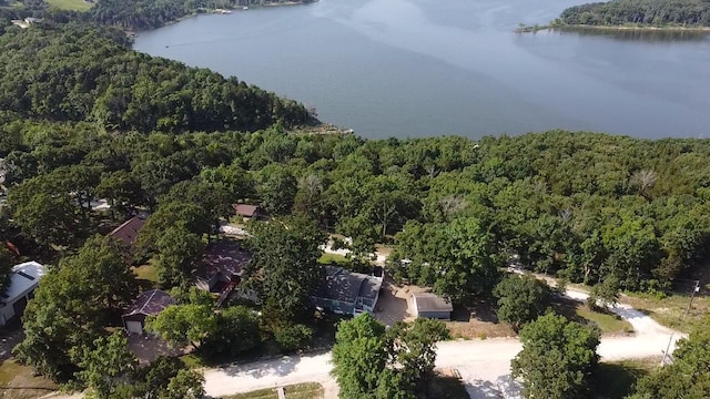 25795 Canyon Dr, Hermitage, MO 65668 - aerial view of property's location with a forest and a nearby body of water